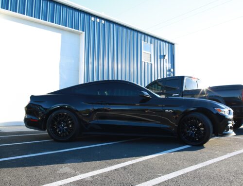 Mustang with Window Tint