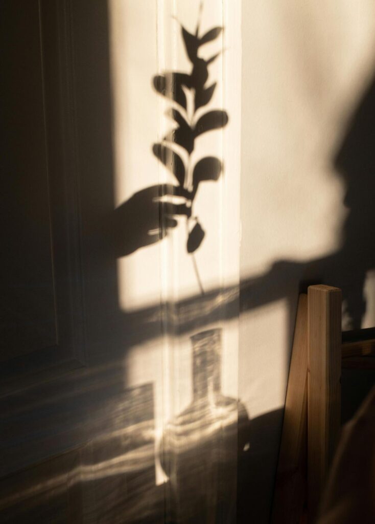 Shadow of a Hand Placing Plant in Vase