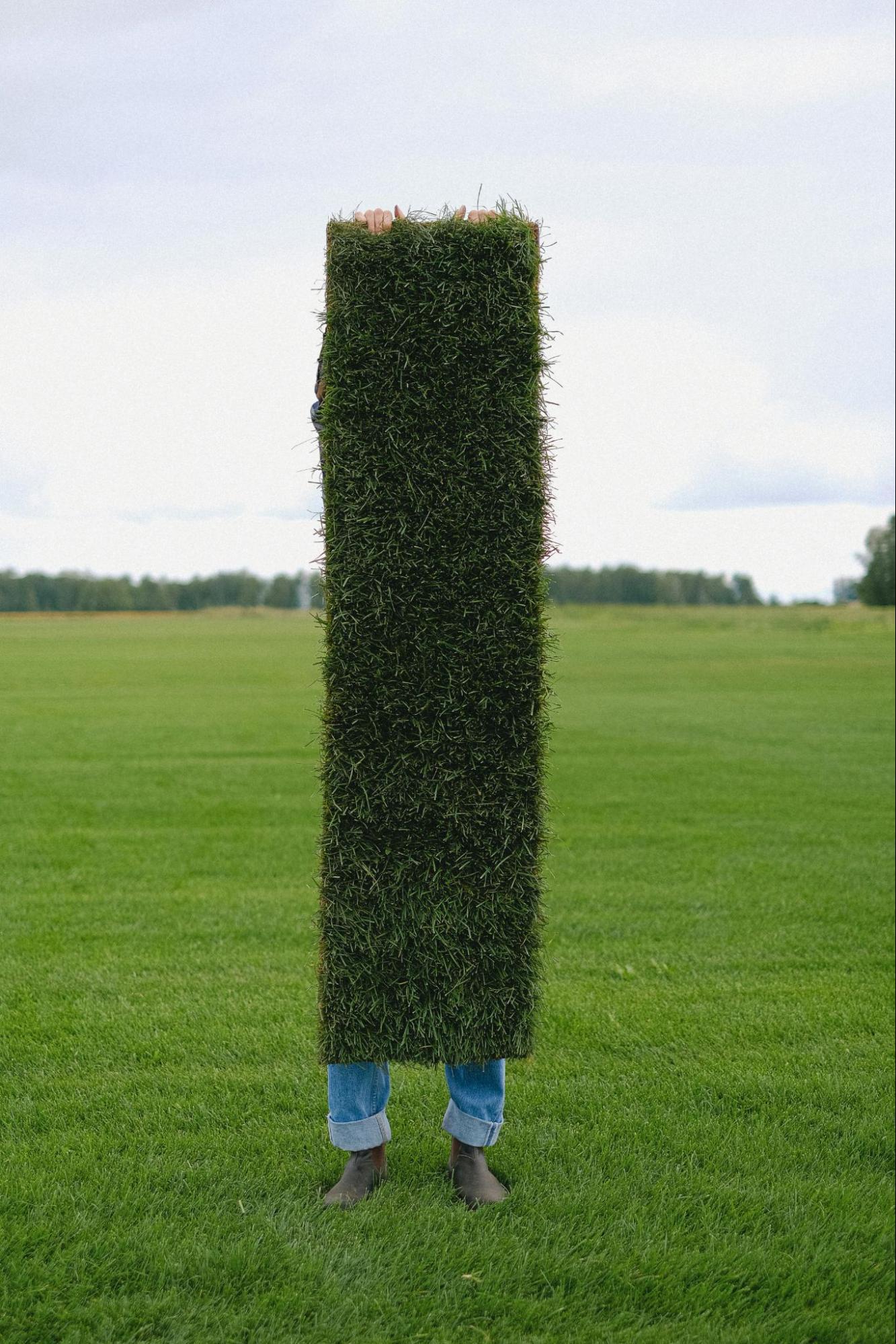 Person Holding a Cut of Grass